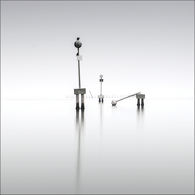 Two Cormorants